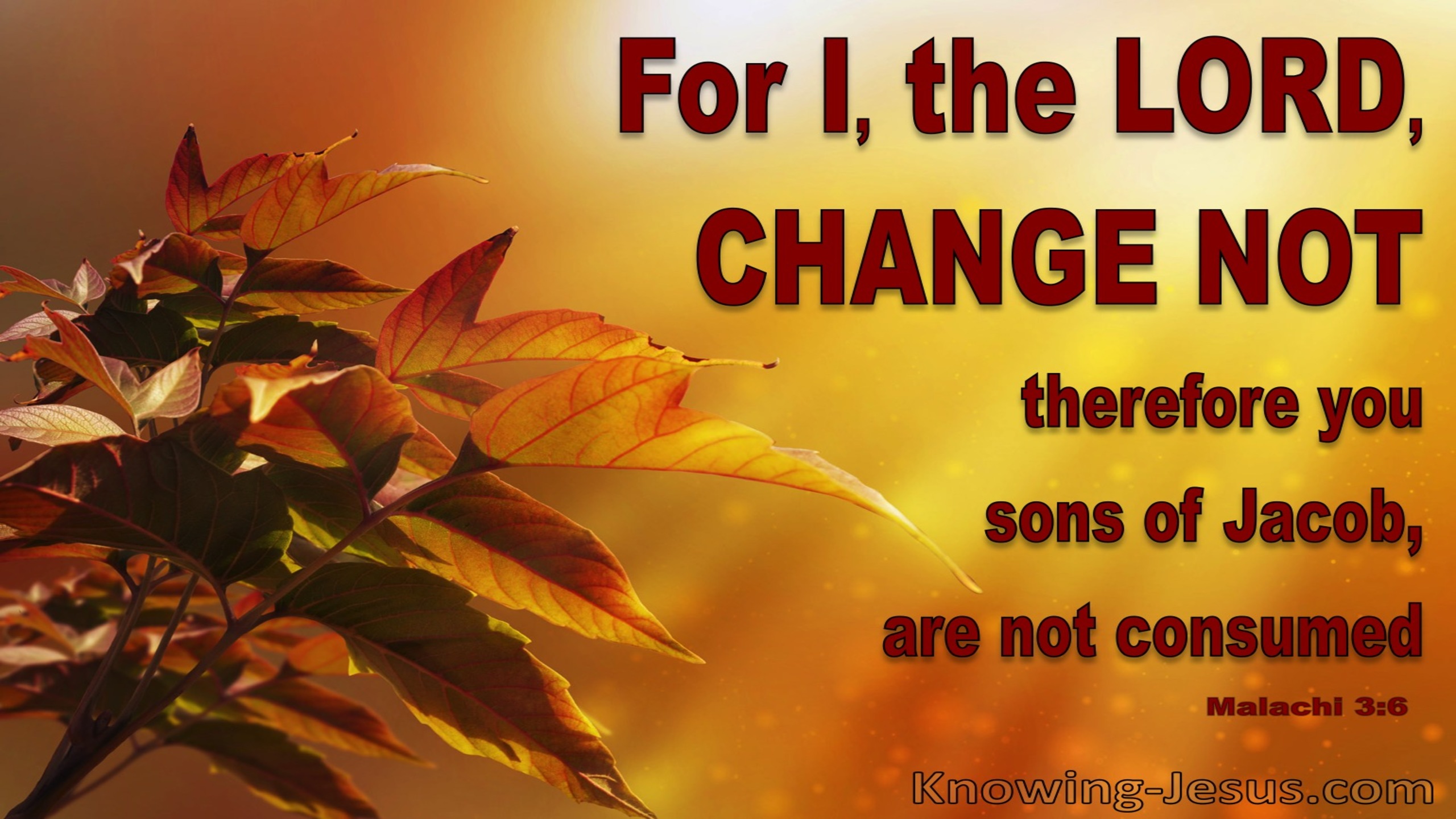 Malachi 3:6 The Lord Does Not Change (orange)